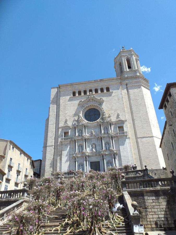 Centrico Y Acogedor * Girona